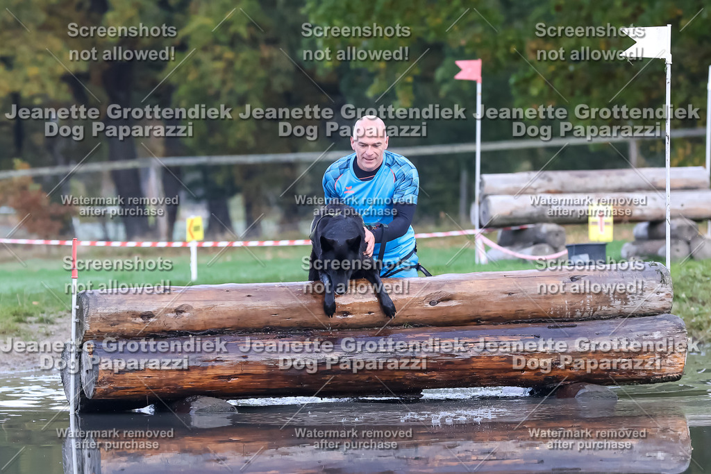 Dog Paparazzi - Strongdog 10-25-6511 | Dog Paparazzi Jeanette Grottendiek Fotografie & Videografie - Realisiert mit Pictrs.com