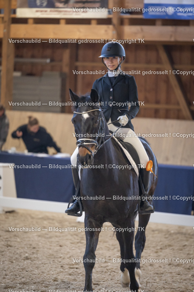 _D5A2558 | Emotionale Pferde- & People-Fotografie rund um Heidelberg, Leimen & Umgebung. Natürliche Fotos von Pferd, Mensch & Familie. Jetzt Termin sichern!