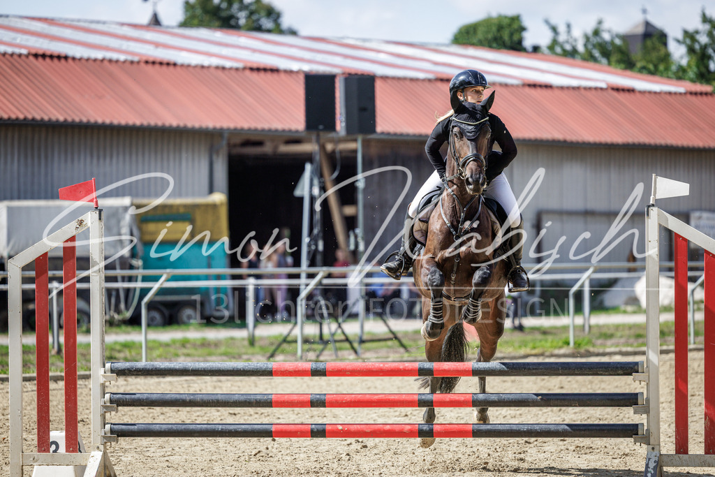 20260905-_3LI8693 | Tierfotografie Pferde, Hunde, Katzen, Haustiere.
Turnierfotografie Reitturniere, Reiten, Springreiten, Dressur in Hanau, dem Main-Kinzig-Kreis und dem Rhein-Main- Gebiet um Frankfurt
