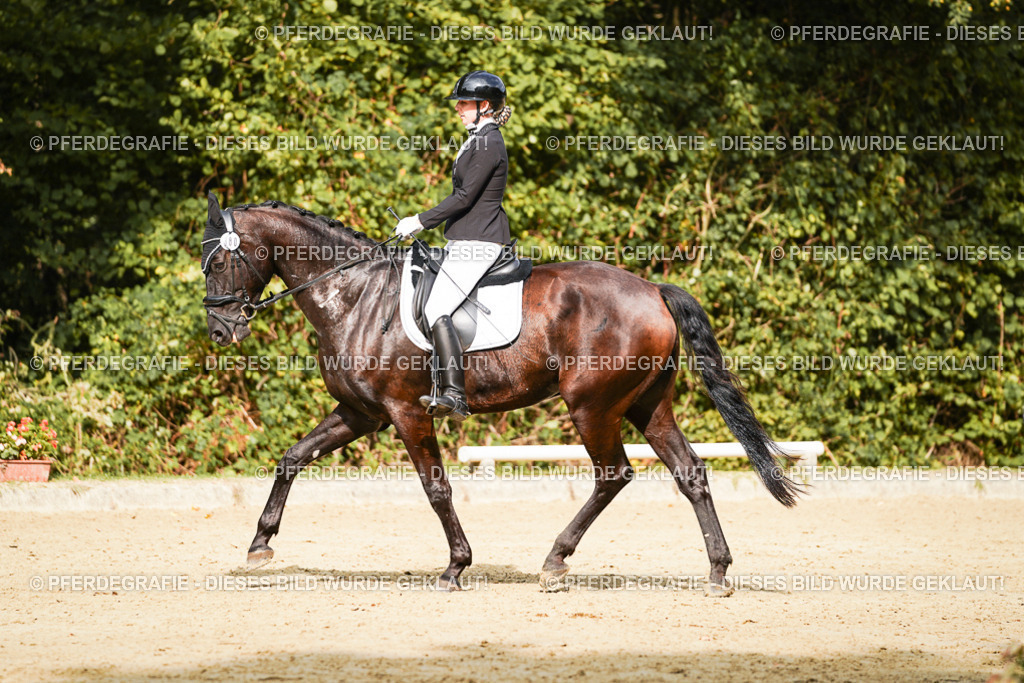 DSC03125 | Pferdegrafie