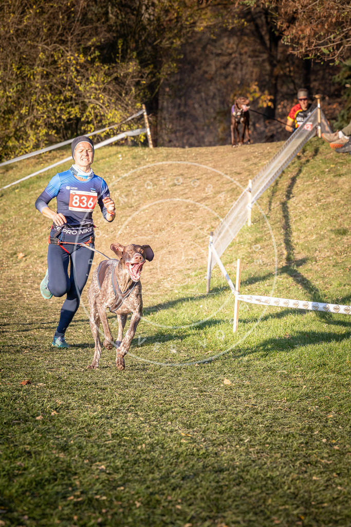 CaniXpix_0L8A0641 | Hundefotografie, Tierfotograf, Pfotenfotografie, Fotoshooting Hund, Hunde Portrait, Hundesport, Hundeportraits, Heideshooting, Hunde, Sportfotograf, Hundefotograf, Turnierhundsport, THS,  - Realisiert mit Pictrs.com