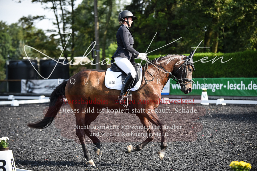 DSC_3121 | Pferde- und Turnierfotografie in Westsachsen. Pferdeportraits, Auftragszeichnungen und intuitive Kunst.