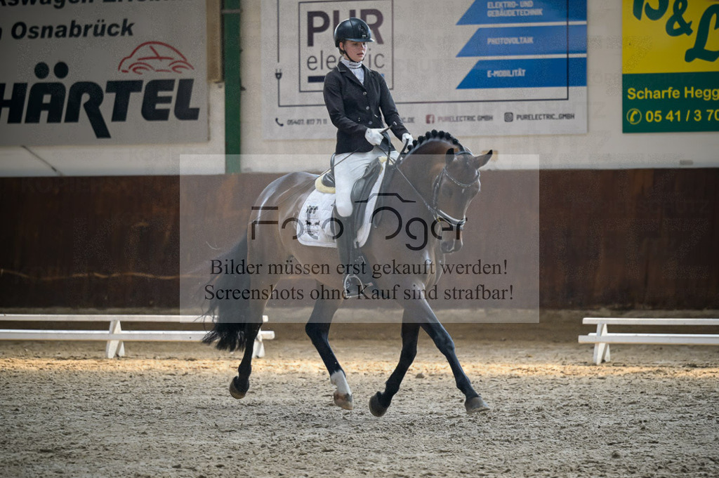 Reitturnier Voxtrup | Entdecke hochwertige Reitturnierfotos von Foto Oger. Professionell, emotional und authentisch – jetzt Lieblingsmomente im Shop bestellen.Deutschlandweite Turnierfotografie. - Realisiert mit Pictrs.com