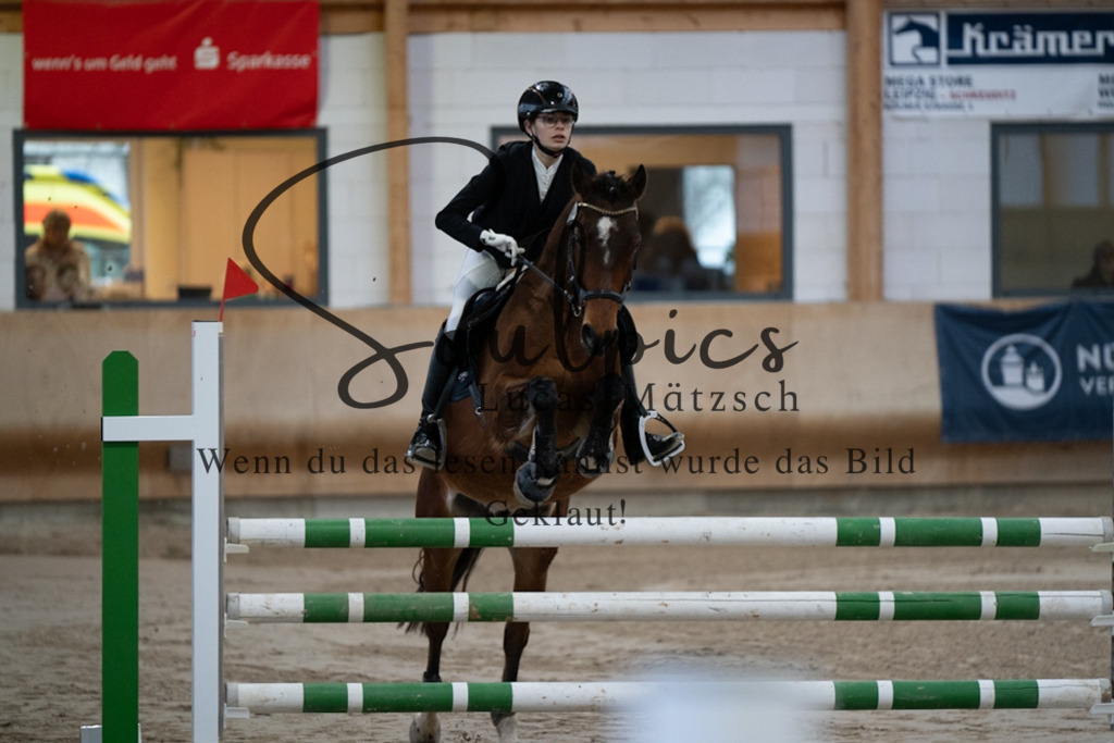 A7V00742 | Pferdefotograf