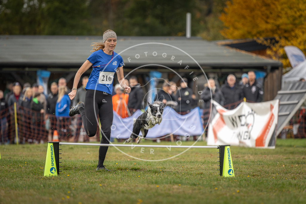 Pfotenfotografie_DV3A2937 | Hundefotografie, Tierfotograf, Pfotenfotografie, Fotoshooting Hund, Hunde Portrait, Hundesport, Hundeportraits, Heideshooting, Hunde, Sportfotograf, Hundefotograf, Turnierhundsport, THS,  - Realisiert mit Pictrs.com