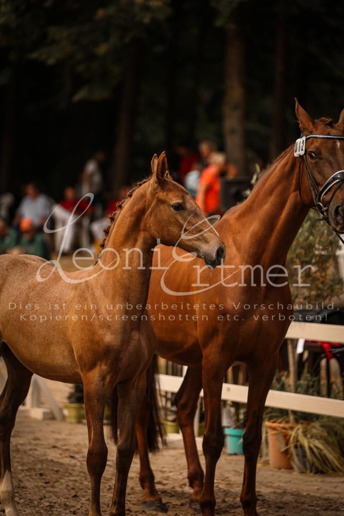 SaPA00168 | Leoni Ertmer Photography - Realisiert mit Pictrs.com