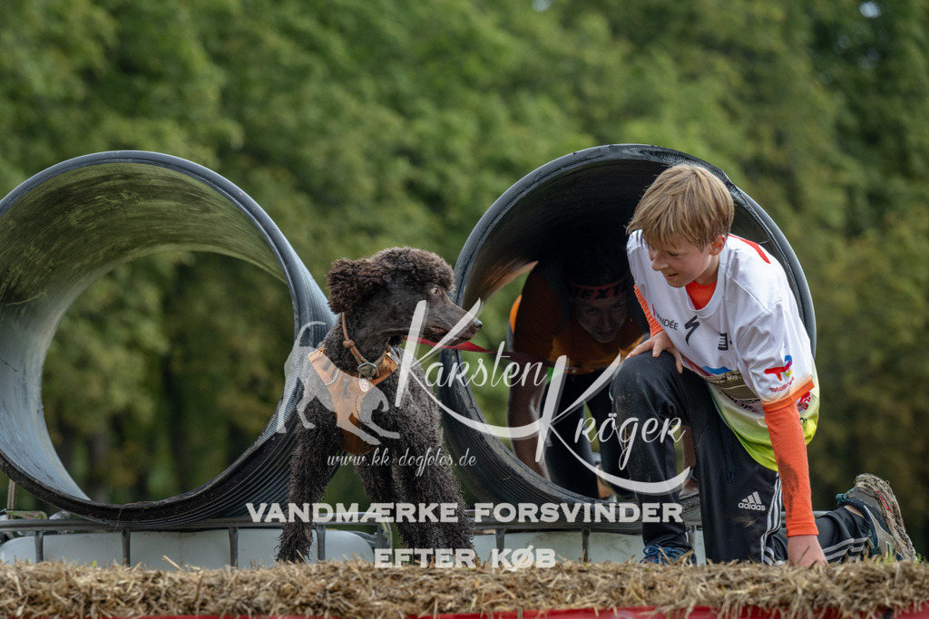 0946_ZZ91113 | kk-dogfotos