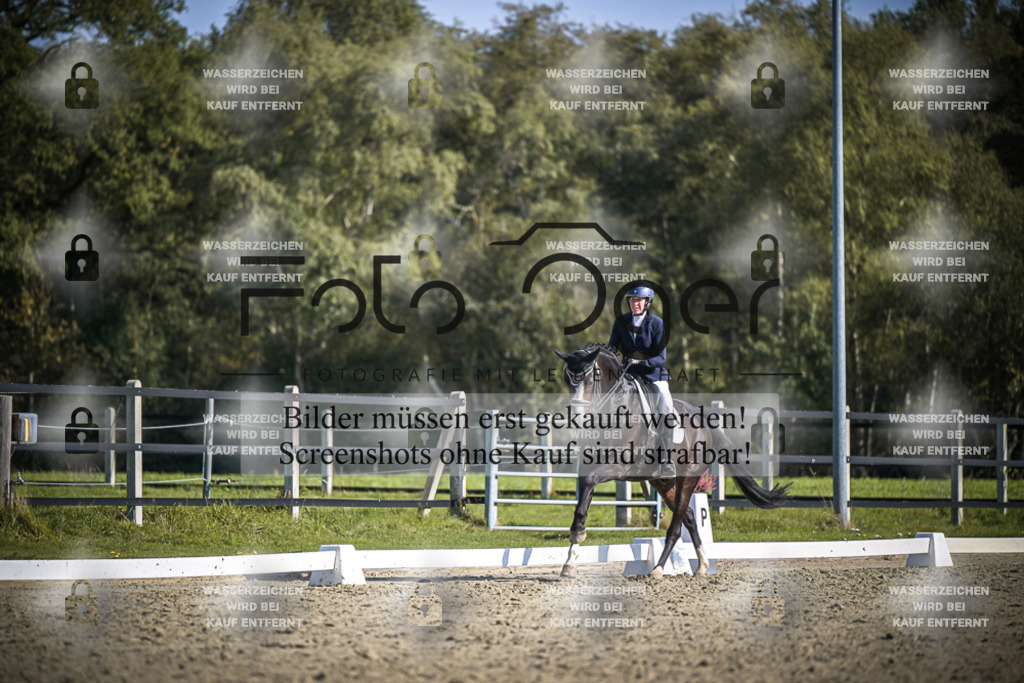 DOS_2490 | Entdecke hochwertige Reitturnierfotos von Foto Oger. Professionell, emotional und authentisch – jetzt Lieblingsmomente im Shop bestellen.Deutschlandweite Turnierfotografie. - Realisiert mit Pictrs.com