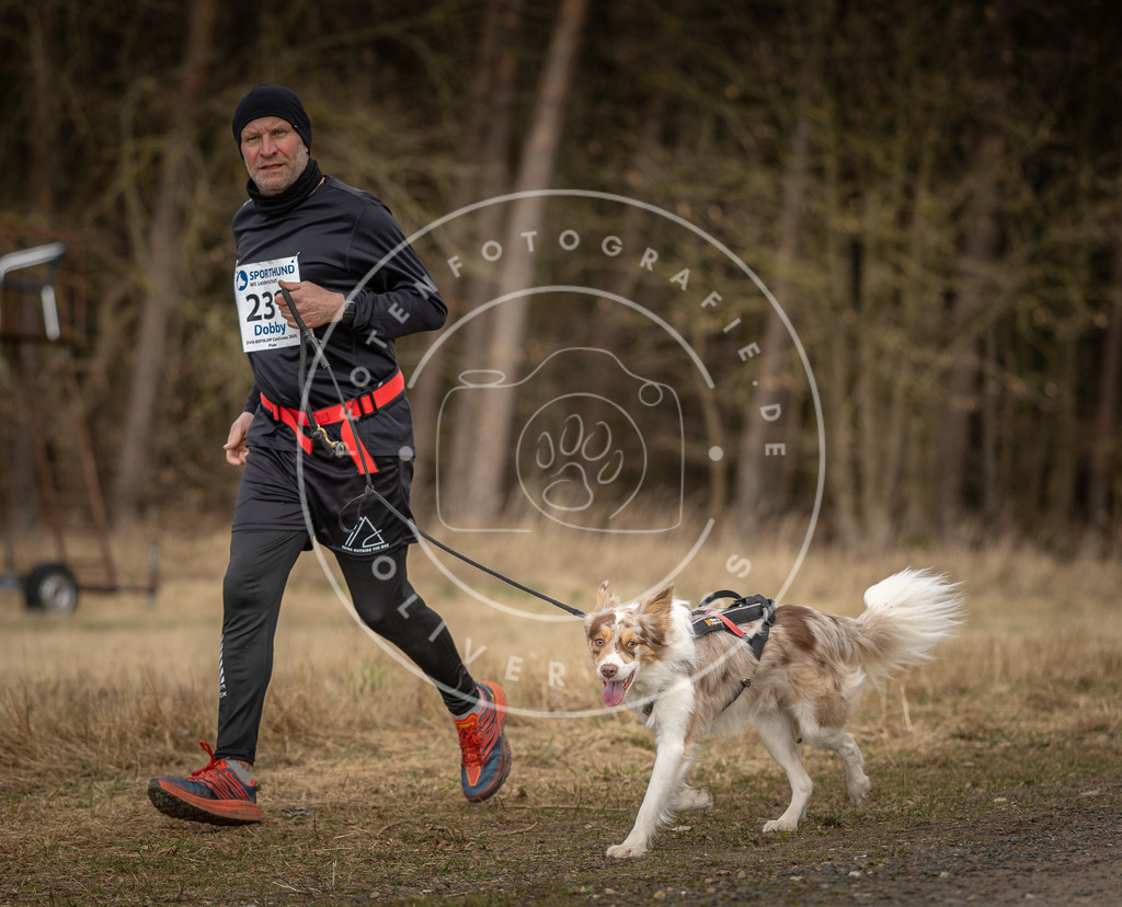 DV3A5349 | Hundefotografie, Tierfotograf, Pfotenfotografie, Fotoshooting Hund, Hunde Portrait, Hundesport, Hundeportraits, Heideshooting, Hunde, Sportfotograf, Hundefotograf, Turnierhundsport, THS,  - Realisiert mit Pictrs.com