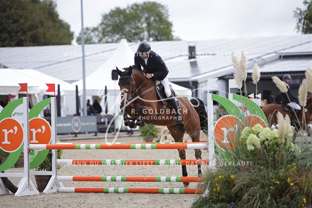 1J2A1327Jordi Sander_ Naomi 492_ Kn771_ Havekost | Foto- und Videografie für alles rund ums Pferd. Hochwertige Bilder und Videos vom Spring- und Dressurreiten, Voltigieren & mehr. Jetzt aktuelle Veranstaltungen und Preise im Shop ansehen. - Realisiert mit Pictrs.com