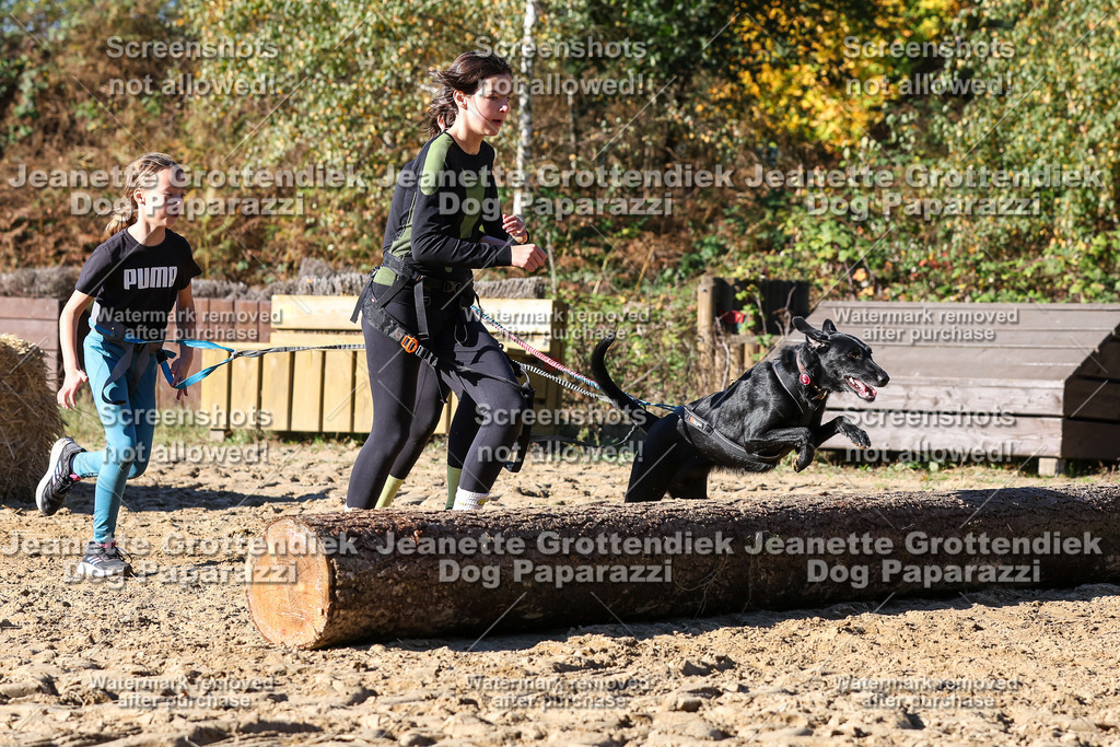 Dog Paparazzi - Strongdog 10-25-2543 | Dog Paparazzi Jeanette Grottendiek Fotografie & Videografie - Realisiert mit Pictrs.com