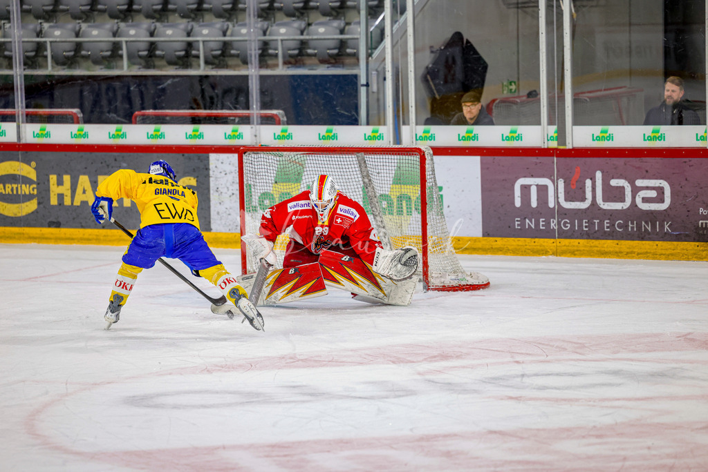 EHCB vs HCD-1196 | Sportbilder, Sportfotograf, Hochzeits- und Eventfotografin, Flugshows, Portraits und Tiershooting, Aviation, Downhill, Nationalleague, Swissleague, International