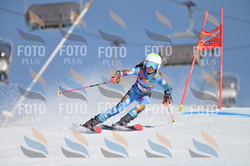 BGV_7611 | holidayphoto