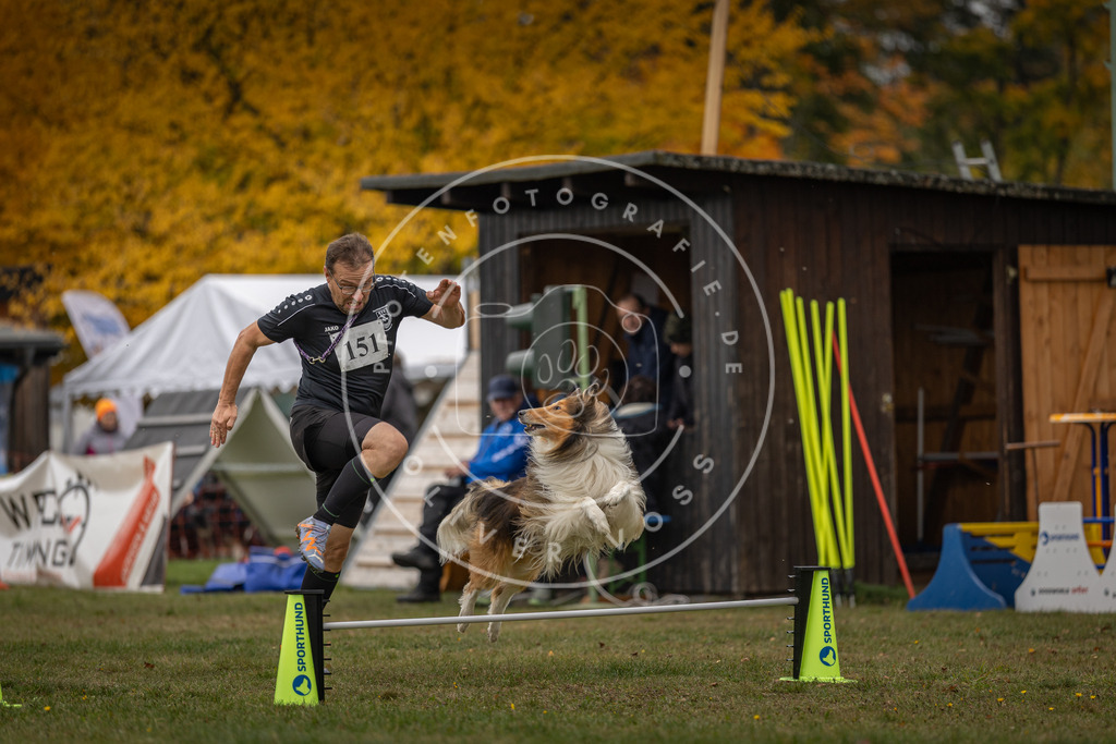 Pfotenfotografie_DV3A6119 | Hundefotografie, Tierfotograf, Pfotenfotografie, Fotoshooting Hund, Hunde Portrait, Hundesport, Hundeportraits, Heideshooting, Hunde, Sportfotograf, Hundefotograf, Turnierhundsport, THS,  - Realisiert mit Pictrs.com