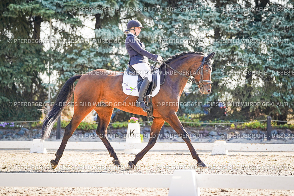 DSC09744 | Pferdegrafie