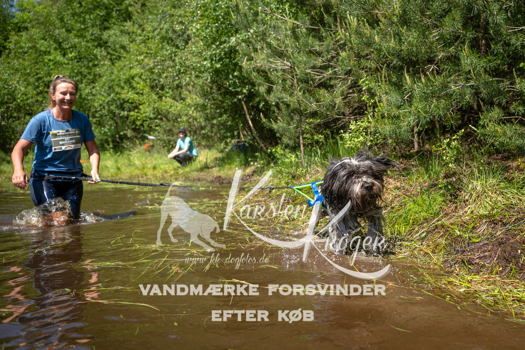 DK K991215141413 | kk-dogfotos