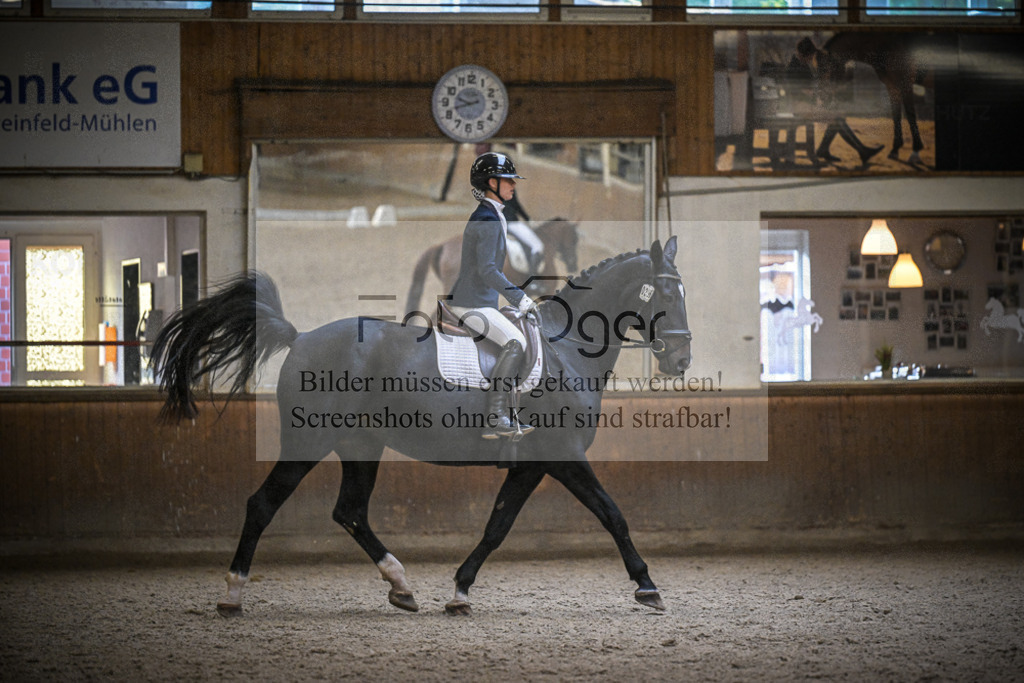 DOS_0269 | Entdecke hochwertige Reitturnierfotos von Foto Oger. Professionell, emotional und authentisch – jetzt Lieblingsmomente im Shop bestellen.Deutschlandweite Turnierfotografie. - Realisiert mit Pictrs.com