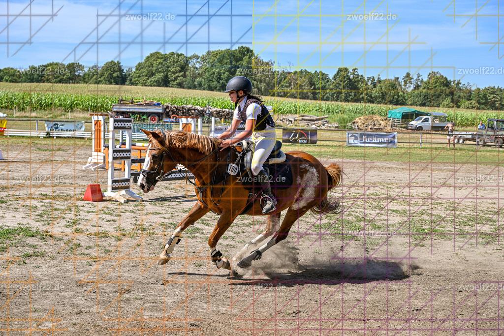 30 Jahre RFV Pulsnitz e.V., Pulsnitz am 09.08.2026 | Zur 28. breitensportlichen Veranstaltung des RFV Pulsnitz e.V. fanden verschiedene Wettbewerbe in nahezu allen Disziplinen des Pferdesport statt. - 06 Standard-Spring-Wettbewerb - Realisiert mit Pictrs.com