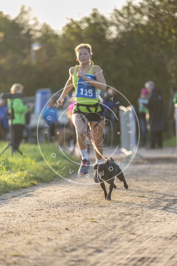 Pfotenfotografie.de_DV3A2455 | Hundefotografie, Tierfotograf, Pfotenfotografie, Fotoshooting Hund, Hunde Portrait, Hundesport, Hundeportraits, Heideshooting, Hunde, Sportfotograf, Hundefotograf, Turnierhundsport, THS, canicross - Realisiert mit Pictrs.com