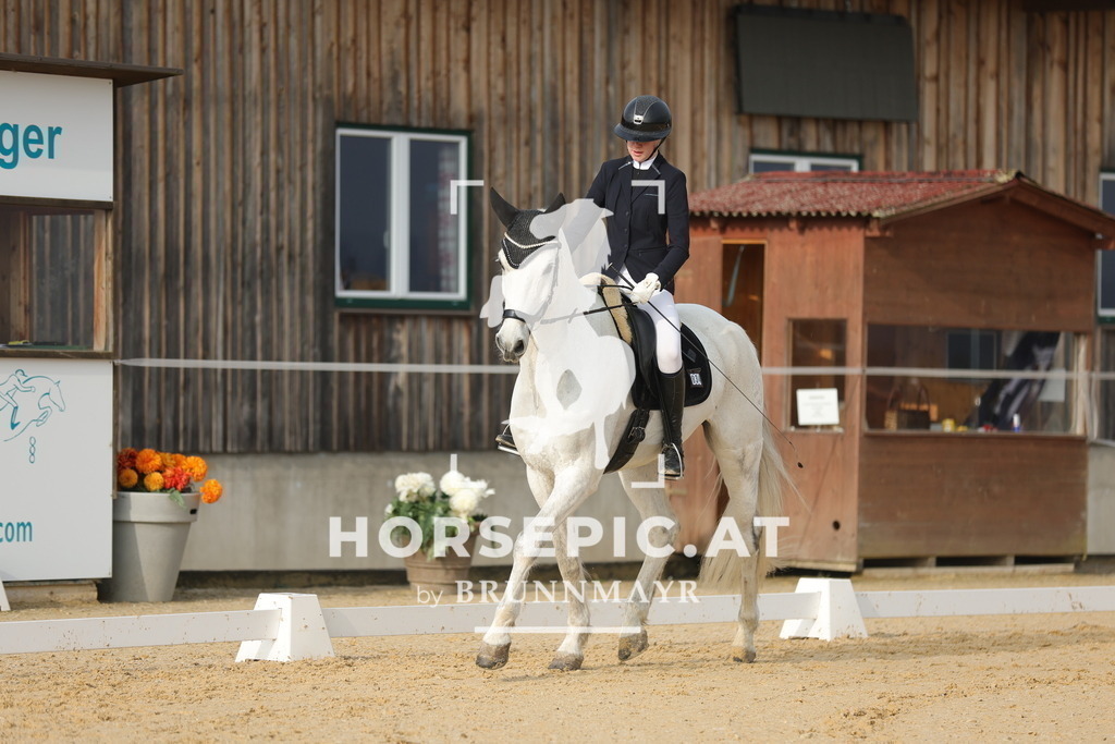 0P6A9862 | Willkommen bei Brunnmayr - Design & Fotografie – Ihrem Spezialisten für Reitturniere und Pferdeveranstaltungen in Oberösterreich, Salzburg und Bayern! Seit über 17 Jahren sind wir leidenschaftlich dabei.