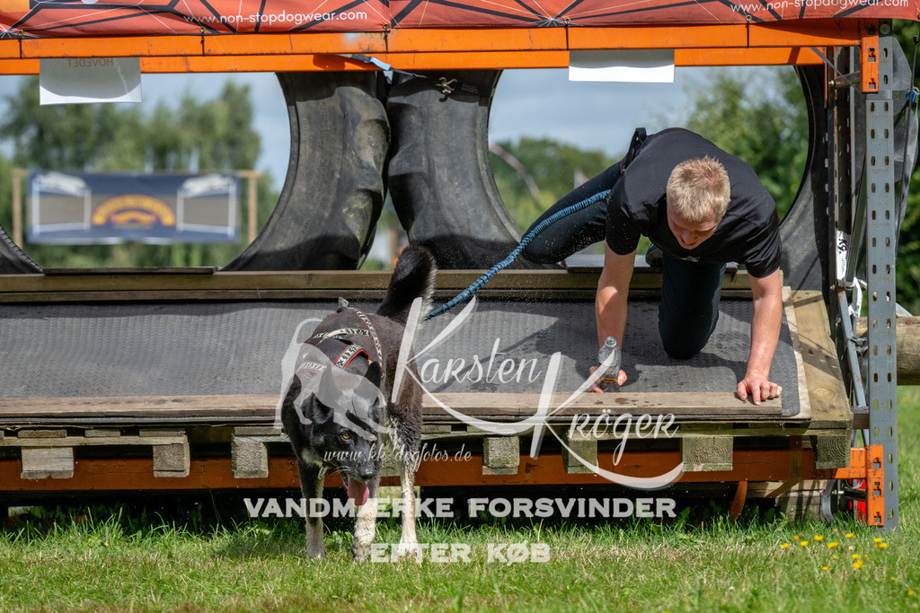 1146_ZZ92941 | kk-dogfotos