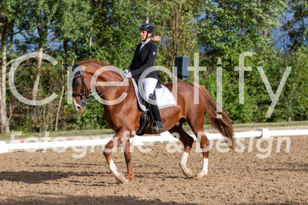 IMG_6183 | Creatify Fotografie