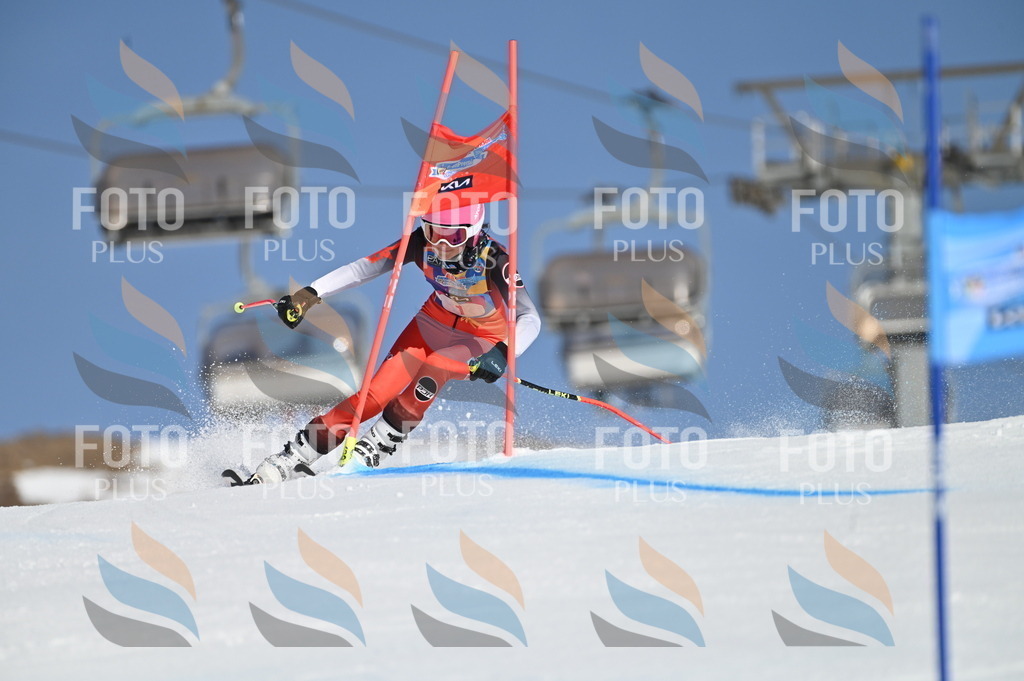 BGV_7569 | holidayphoto