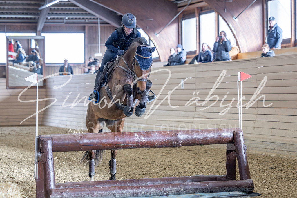 20260221-_3LI9226 | Tierfotografie Pferde, Hunde, Katzen, Haustiere.
Turnierfotografie Reitturniere, Reiten, Springreiten, Dressur in Hanau, dem Main-Kinzig-Kreis und dem Rhein-Main- Gebiet um Frankfurt