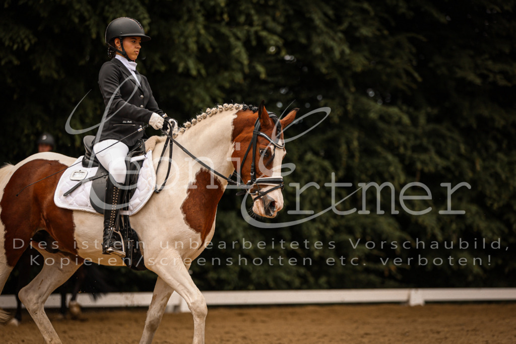 DoDrE00214 | Leoni Ertmer Photography - Realisiert mit Pictrs.com