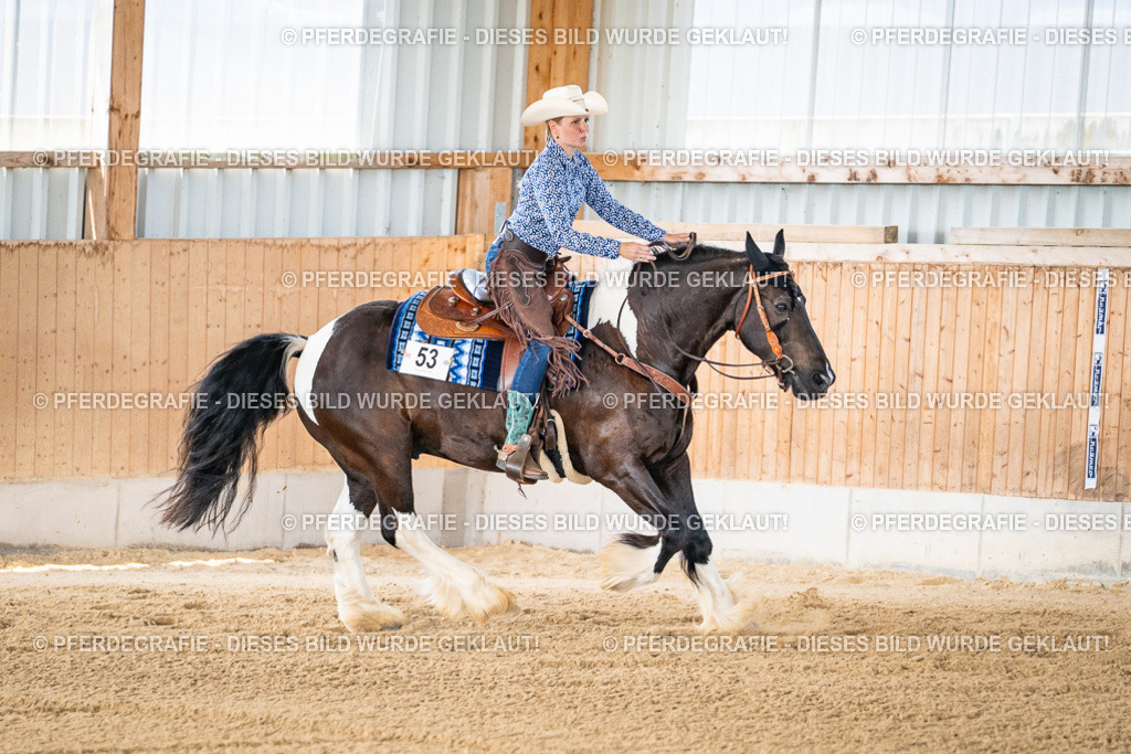 DSC02329 | Pferdegrafie