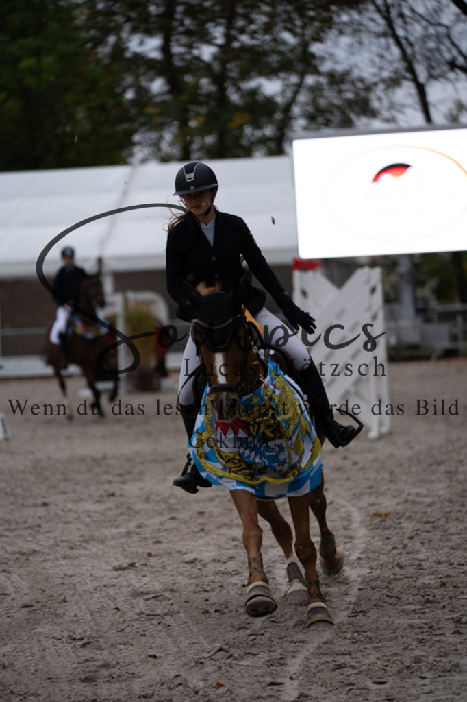 A7V00177 | Pferdefotograf