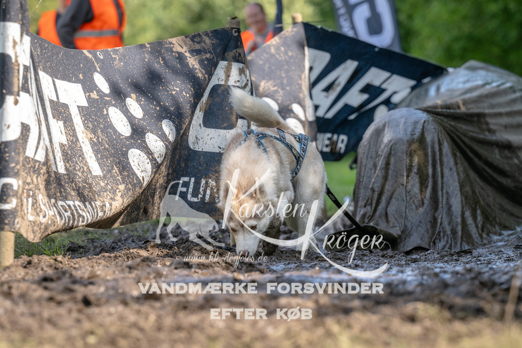 1517_ZZ91289 | kk-dogfotos