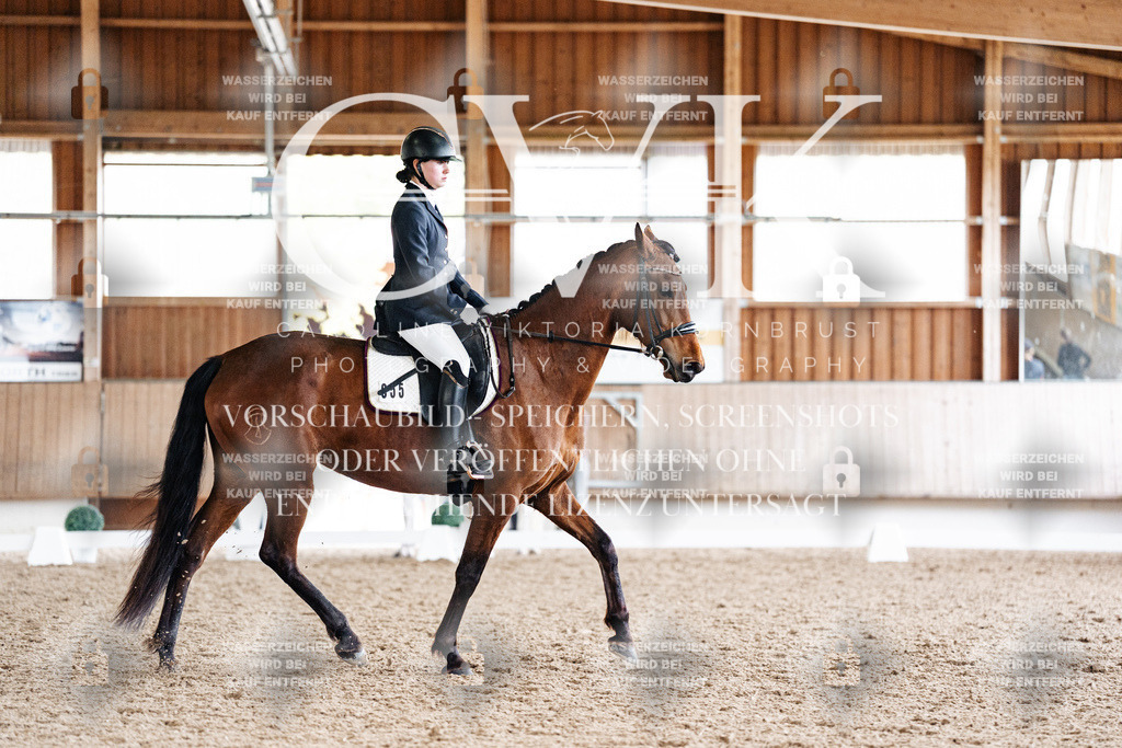 CK900368 | Turnierfotografie Pferdefotografie Trier Rheinland-Pfalz Pferdesport Reitsport Tierfotografie Sportfotografie Pferdevideo Pferdevideografie Equestrianvideography equestrianphotography  - Realisiert mit Pictrs.com