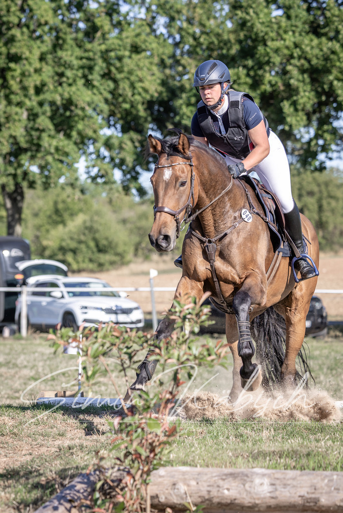 20260906-_3LI1732 | Tierfotografie Pferde, Hunde, Katzen, Haustiere.
Turnierfotografie Reitturniere, Reiten, Springreiten, Dressur in Hanau, dem Main-Kinzig-Kreis und dem Rhein-Main- Gebiet um Frankfurt