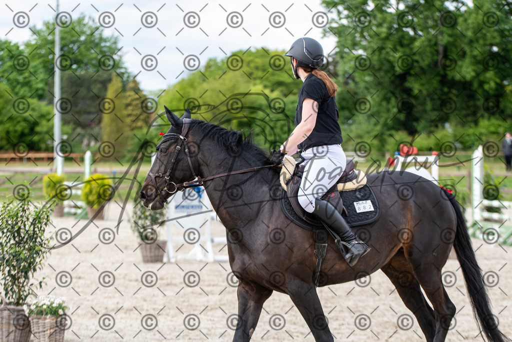 KPT_6854 | andre_photographic