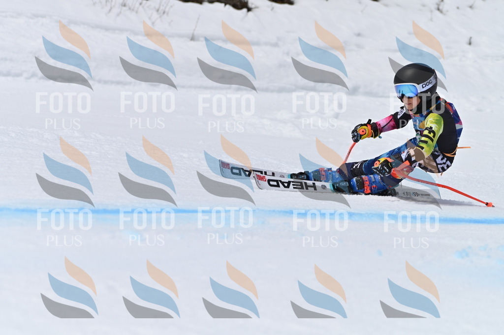 BGV_4714 | holidayphoto