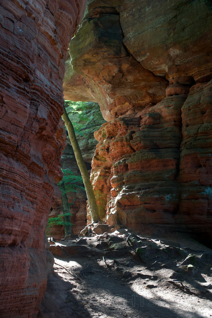 Farbe und Licht | Lichtspiel zwischen Felsen im Pfälzer Wald - Realisiert mit Pictrs.com