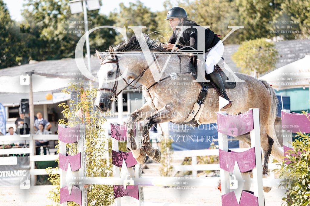 CK907647 | Turnierfotografie Pferdefotografie Trier Rheinland-Pfalz Pferdesport Reitsport Tierfotografie Sportfotografie Pferdevideo Pferdevideografie Equestrianvideography equestrianphotography  - Realisiert mit Pictrs.com