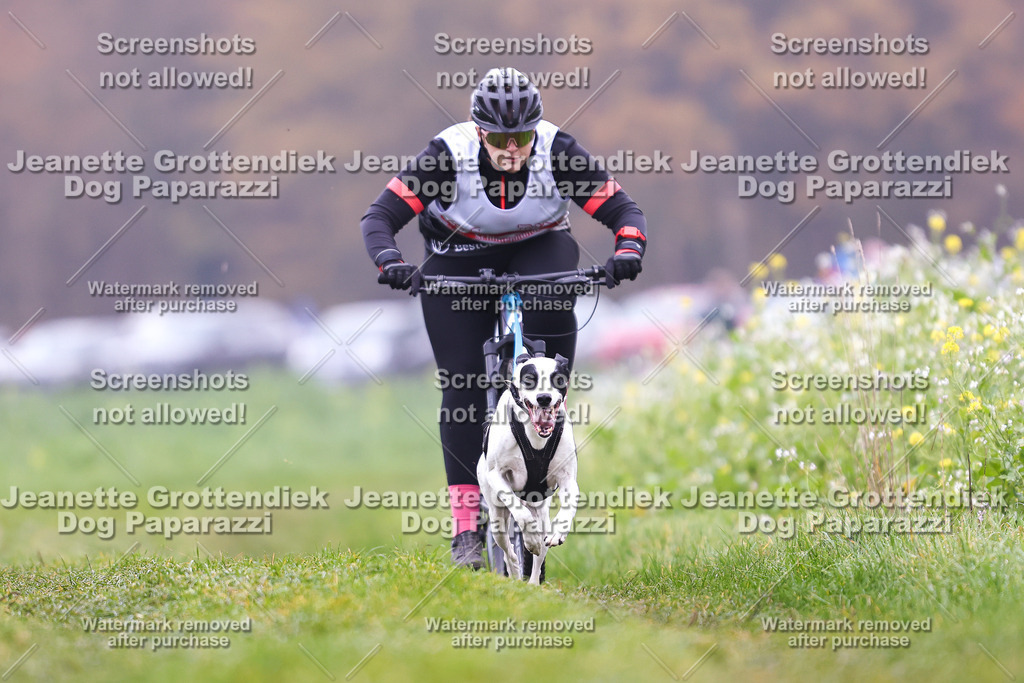 Dog Paparazzi - Visbeck 25 -174 | Dog Paparazzi Jeanette Grottendiek Fotografie & Videografie - Realisiert mit Pictrs.com