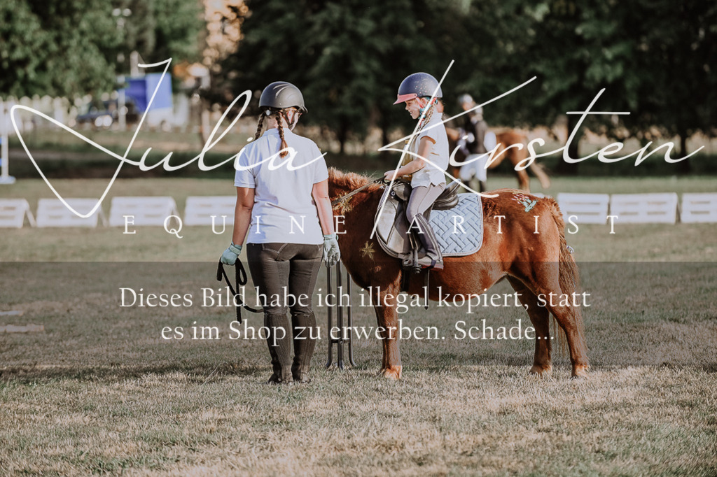 DSC_0147 | Pferde- und Turnierfotografie in Westsachsen. Pferdeportraits, Auftragszeichnungen und intuitive Kunst.