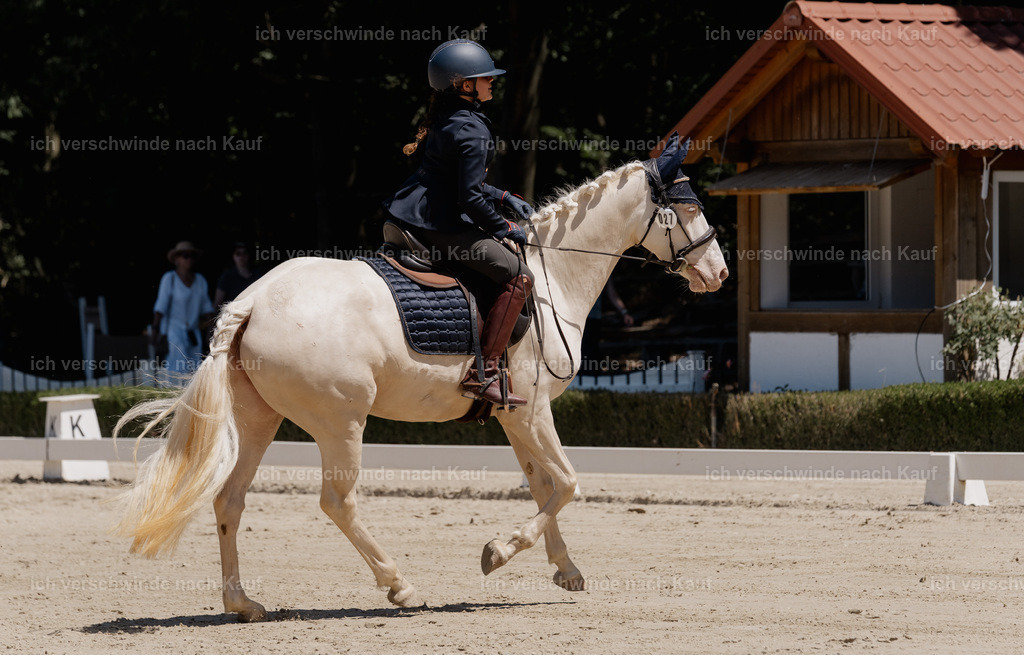 WE_DR_27_SinaFilmArt_IN03085 | working equitationturnier fotograf videograf stoibphotography marixx film working equitation deutschland reitsport turnierfotografie eventfotografie equestrian events