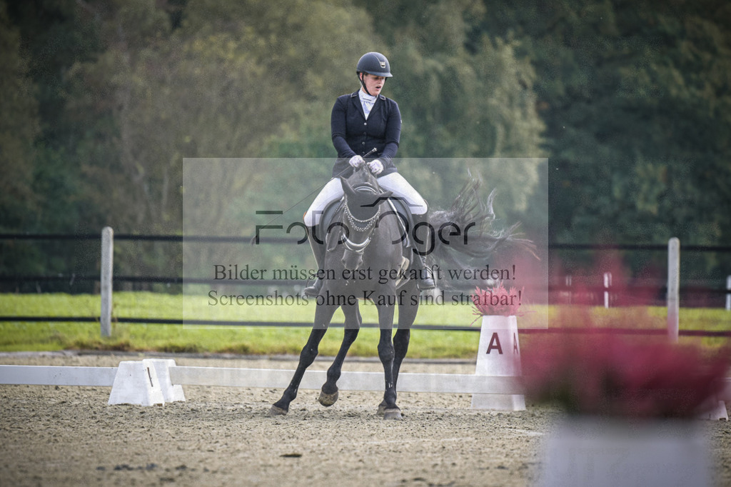 DOS_B505 | Entdecke hochwertige Reitturnierfotos von Foto Oger. Professionell, emotional und authentisch – jetzt Lieblingsmomente im Shop bestellen.Deutschlandweite Turnierfotografie. - Realisiert mit Pictrs.com