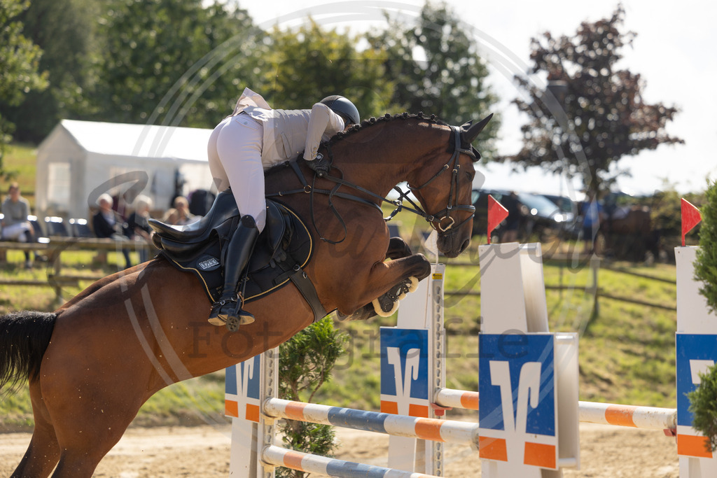 994A8201 | sabrinanicolaifotografie - Realisiert mit Pictrs.com