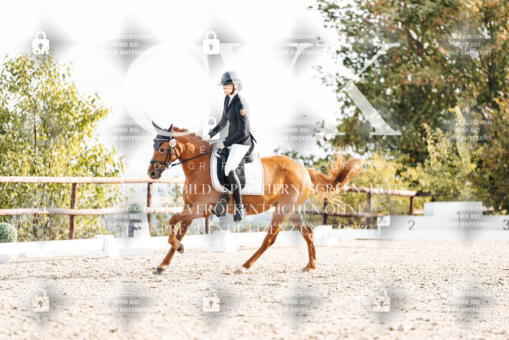 CK901121 | Turnierfotografie Pferdefotografie Trier Rheinland-Pfalz Pferdesport Reitsport Tierfotografie Sportfotografie Pferdevideo Pferdevideografie Equestrianvideography equestrianphotography  - Realisiert mit Pictrs.com