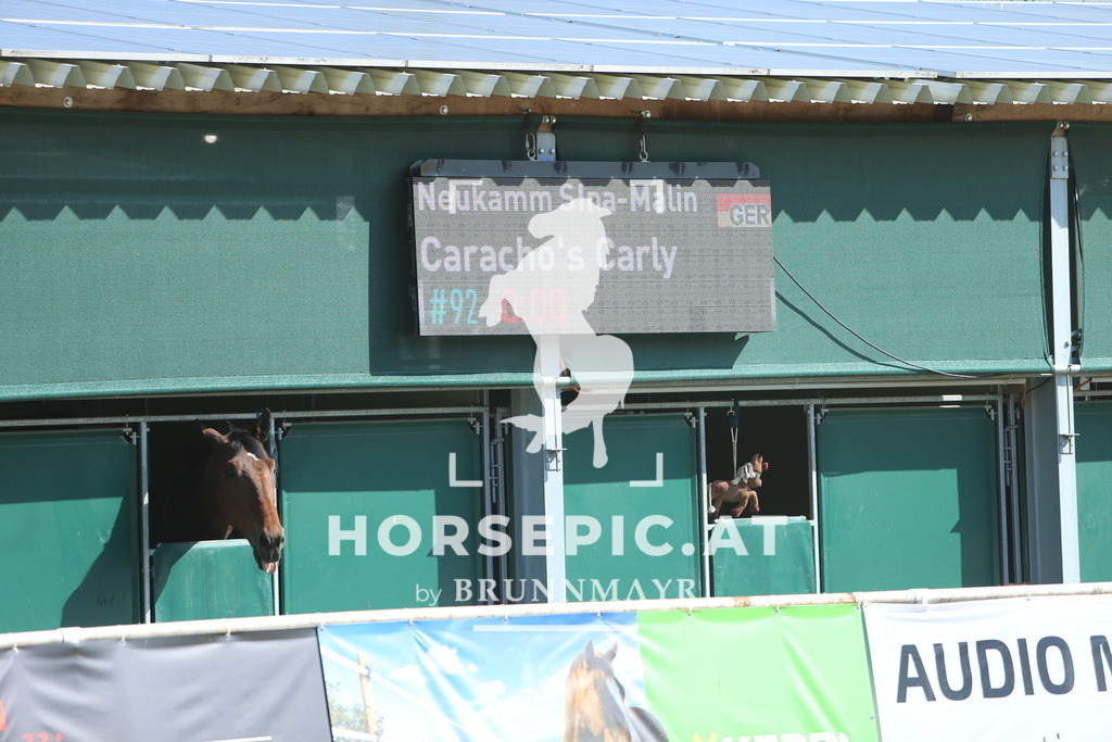 DL2Q8291 | Willkommen bei Brunnmayr - Design & Fotografie – Ihrem Spezialisten für Reitturniere und Pferdeveranstaltungen in Oberösterreich, Salzburg und Bayern! Seit über 17 Jahren sind wir leidenschaftlich dabei.