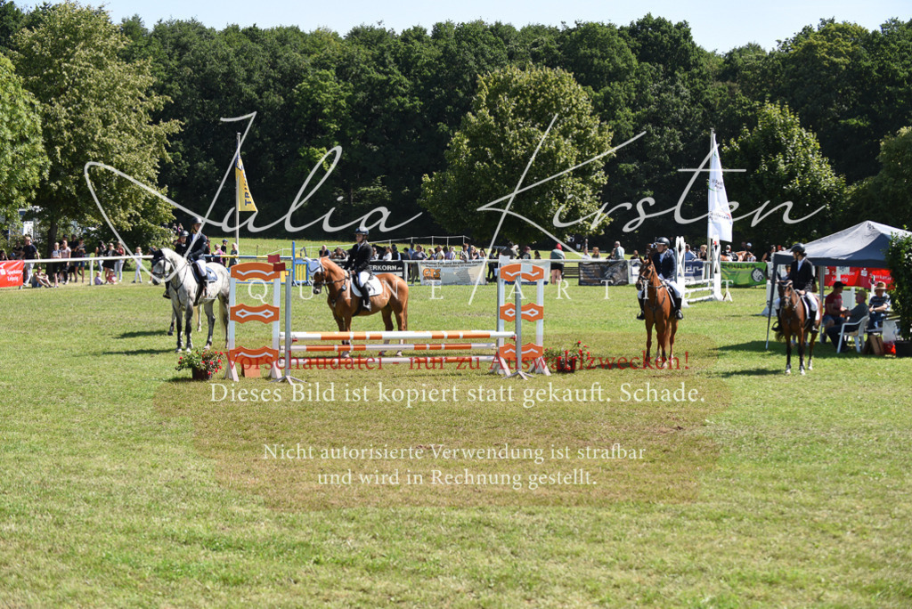 DSC_9633 | Pferde- und Turnierfotografie in Westsachsen. Pferdeportraits, Auftragszeichnungen und intuitive Kunst.