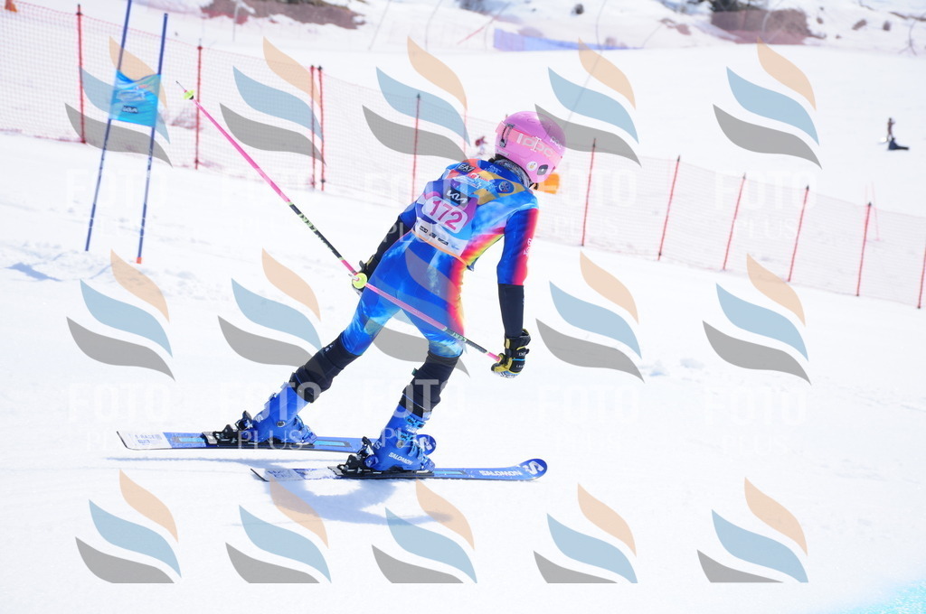 DSC_5496 | holidayphoto