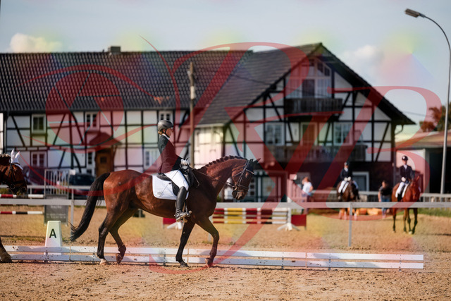 2026_10_03_Siefer-Hof_130501_Z63_68249024 | Professionelle Reitsport-, Turnier- und Eventfotografie von Robert Broda. Galerien mit ausgewählten und bearbeiteten Bildern direkt online ansehen und bestellen.