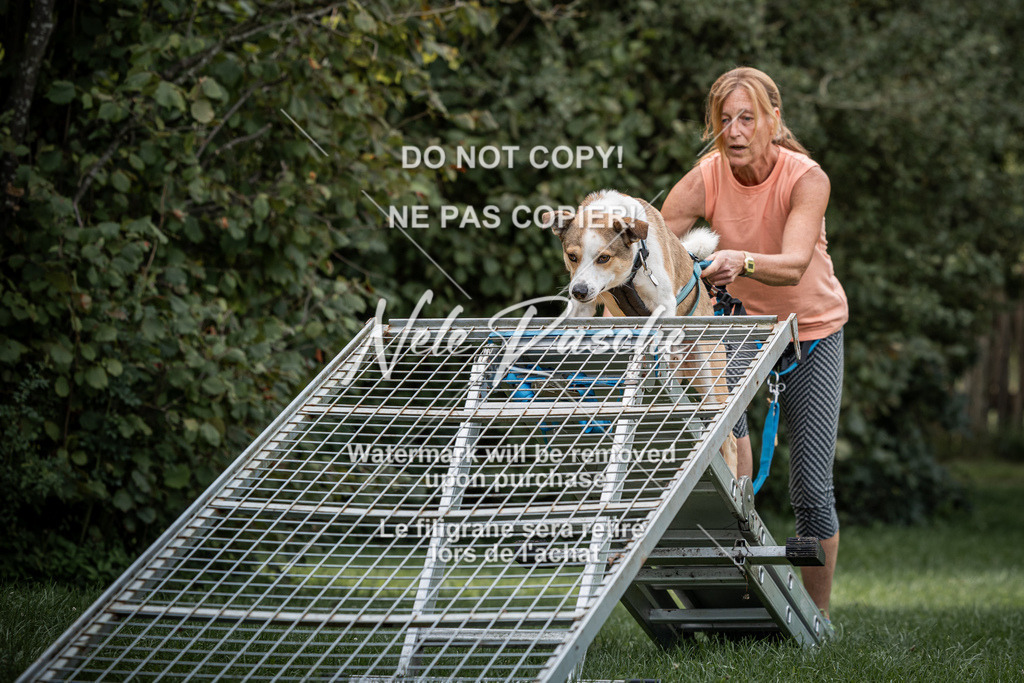 nelerasche_SoLauf_92 | nelerasche