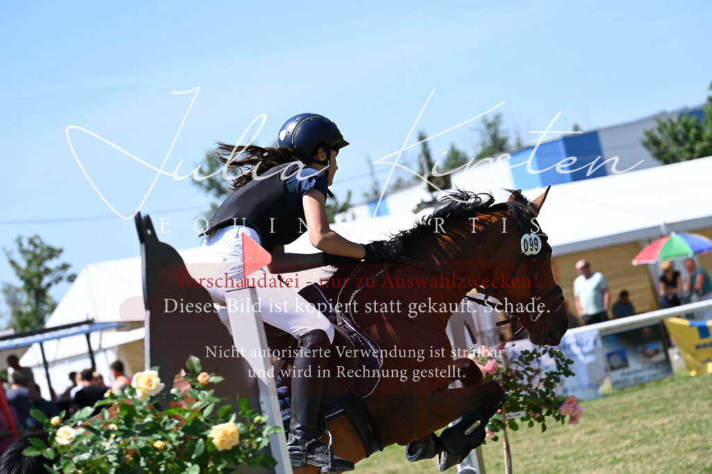 DSC_0827 | Pferde- und Turnierfotografie in Westsachsen. Pferdeportraits, Auftragszeichnungen und intuitive Kunst.